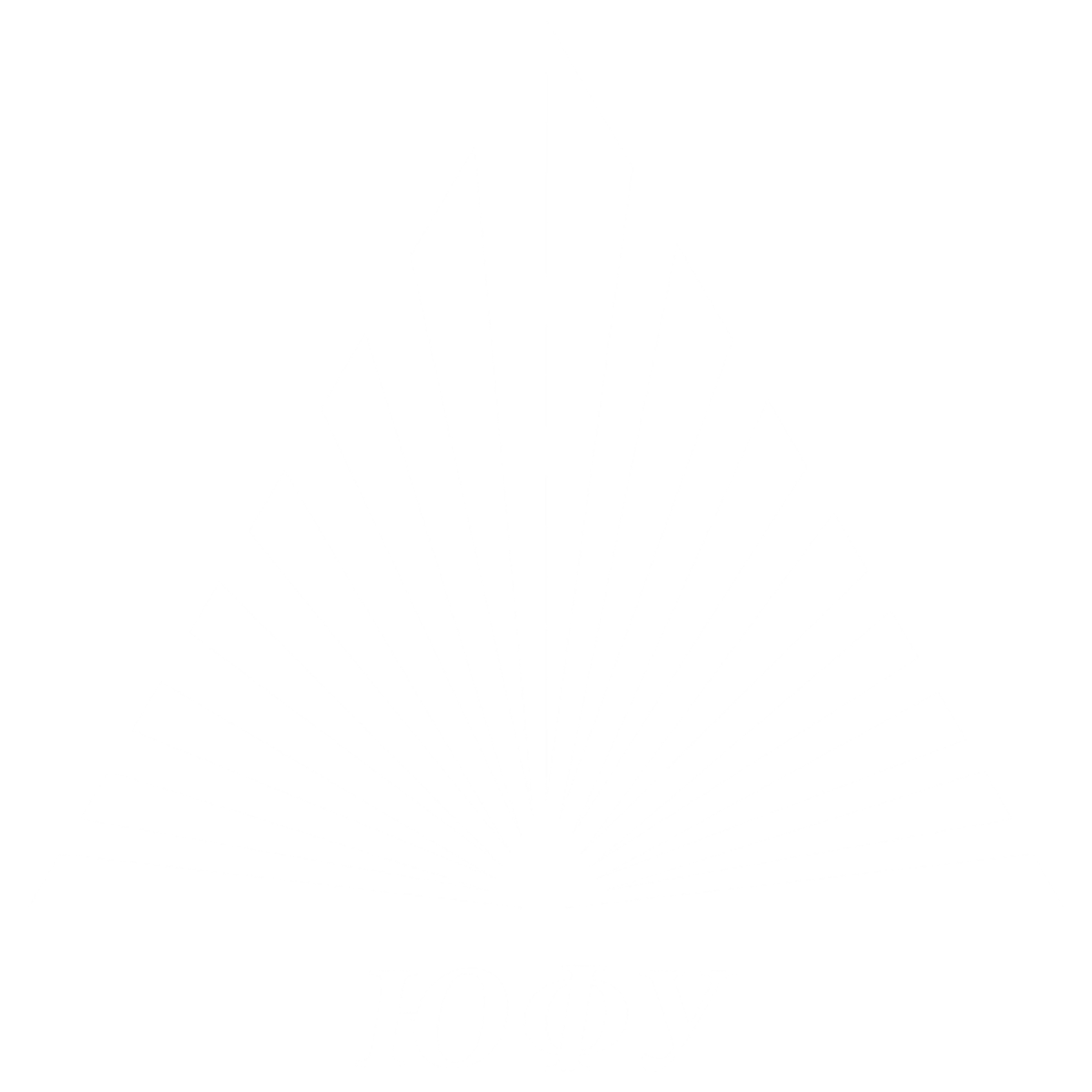 ЮФУ